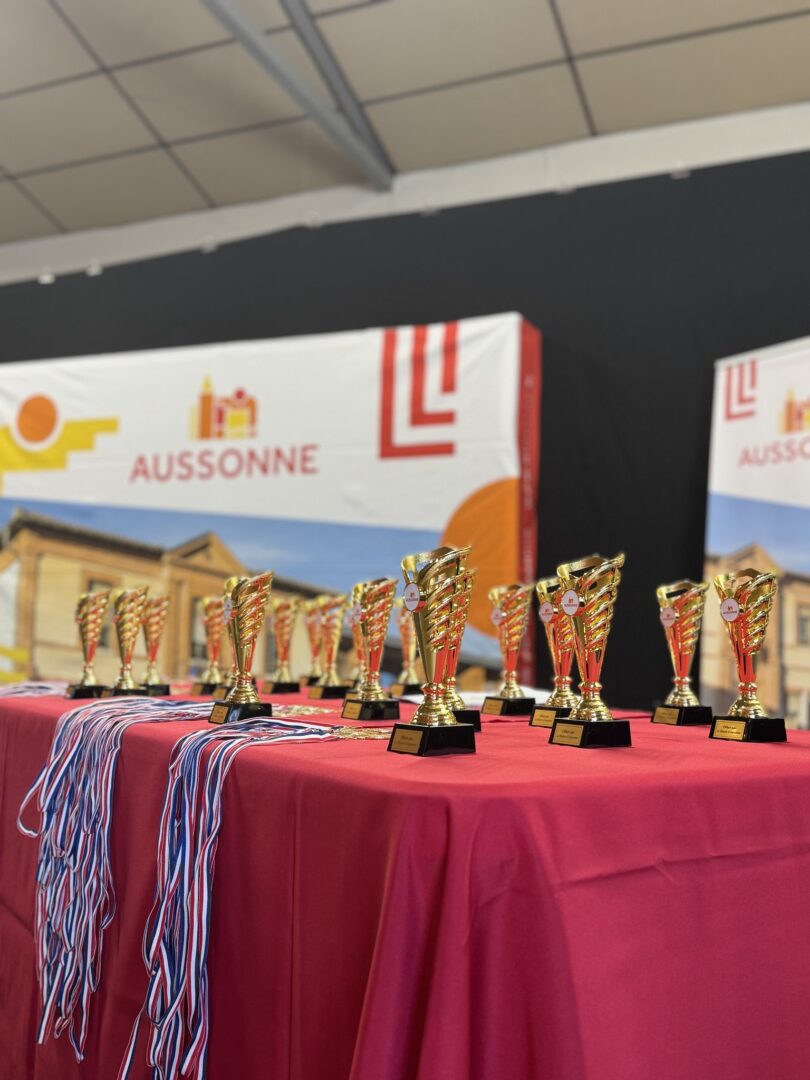 Fête locale d’Aussonne – 4, 5 et 6 juillet 2025
