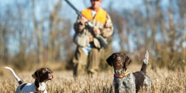 Ouverture et clôture de la chasse pour la campagne