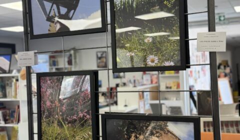 [RETOUR EN IMAGES] Vernissage exposition « Méli-Mélo » d&rsquo;Odile Moirano