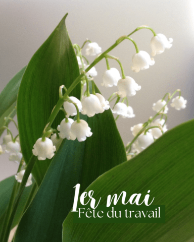 VENTE DE MUGUET POUR LE 1er MAI