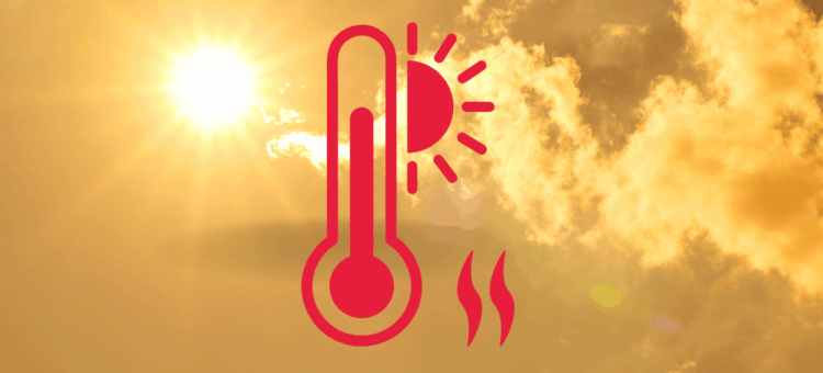 ALERTE CANICULE VIGILANCE ROUGE : Informations importantes 